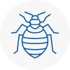 Bed Bug Extermination In Gainsborough