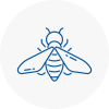 Bee Nest Removal Gainsborough
