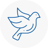 Bird Prevention Gainsborough