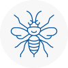 Gainsborough Hornet Nest Removals