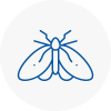 Moth Control Specialists In Gainsborough