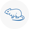 Rat Control Gainsborough