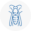 Gainsborough Wasp Nest Removal
